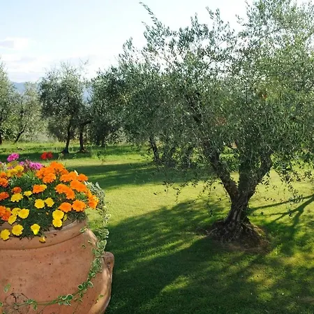 Agriturismo Bellosguardo * Реджелло